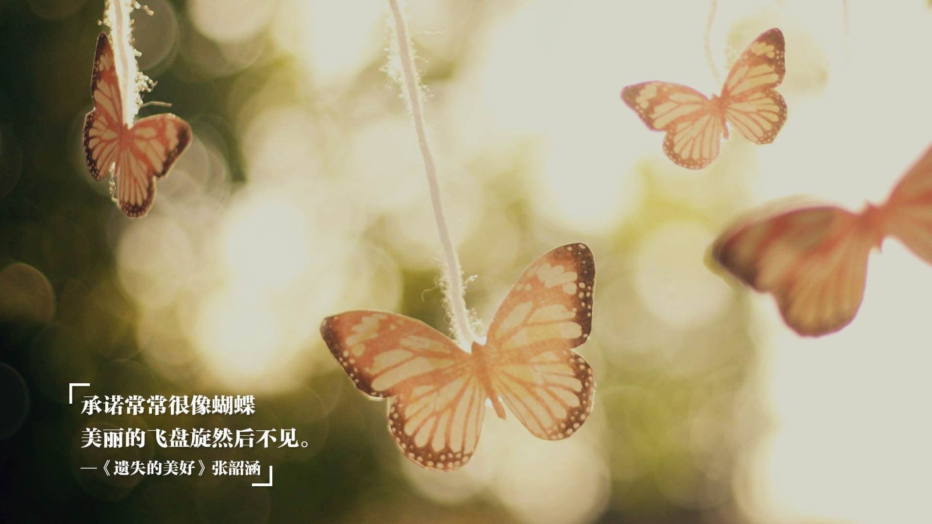 _未来水上运动节:智能装备带来新体验_,未来水上城市科幻