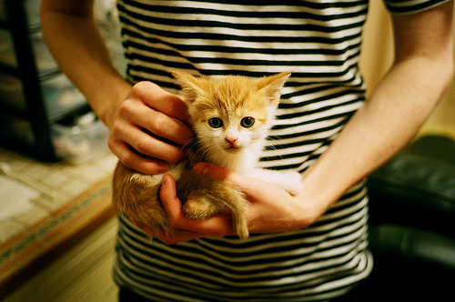 中国足球行业“十四五”规划发布,推动高质量发展,中国足球发展总体方案