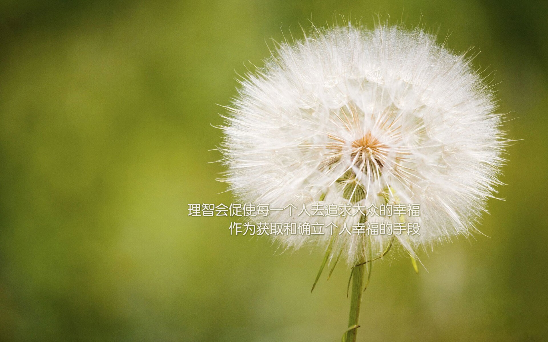 传奇宠儿:那些在欧冠舞台上留下浓墨重彩的球员,传奇欧洲杯