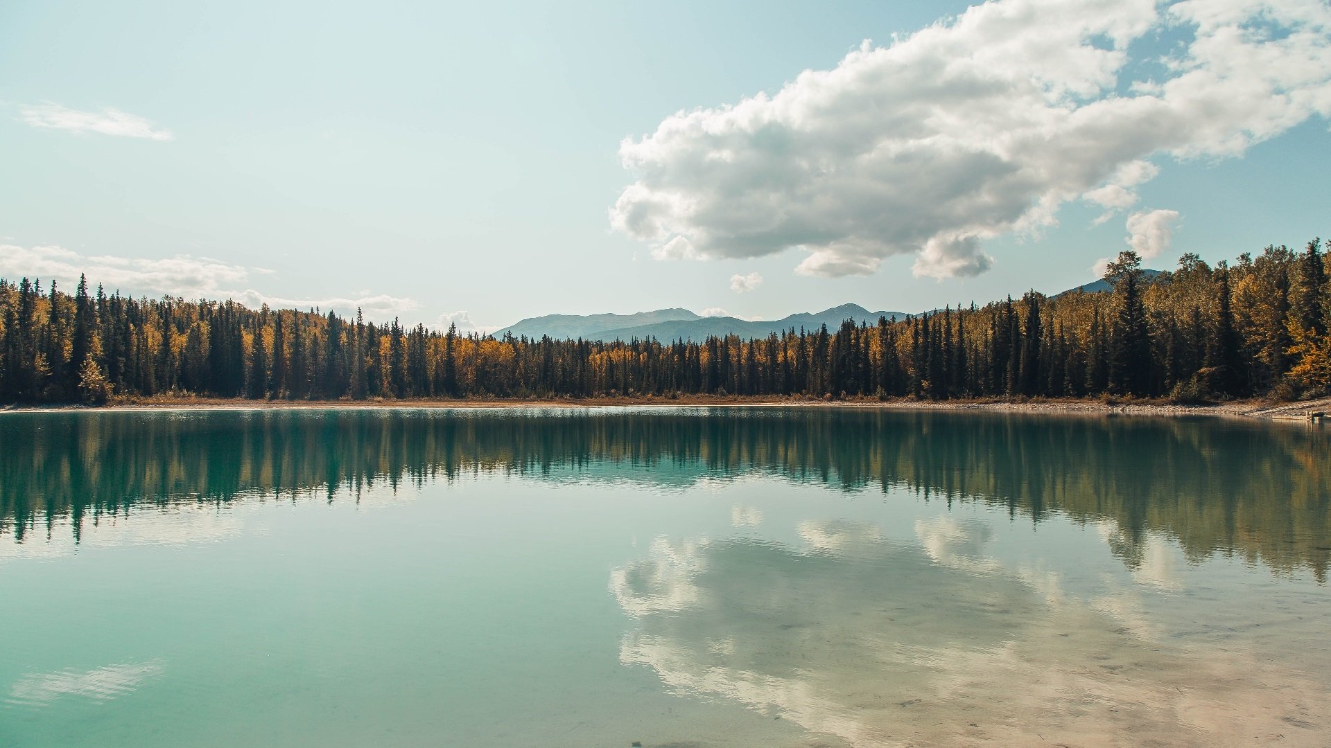 九游电竞官网-《精彩战队转会:多支顶级队伍阵容调整》,精彩来袭是什么意思