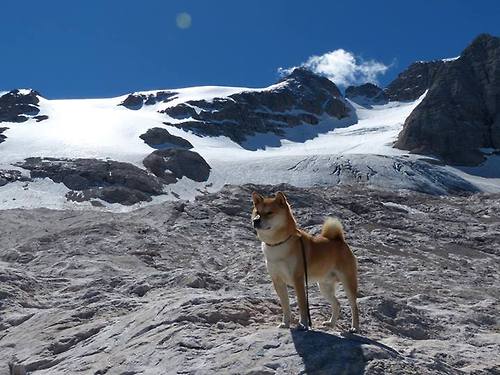 国际体操公开赛中国选手夺冠，国际体操协会官网